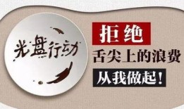 舌尖爆料来历介绍大全视频,美食背后的故事与传承