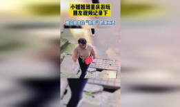 重庆二姐爆料视频大全集,揭秘生活百态，笑料横生