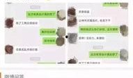 微博最新爆料今日头条,微博最新爆料，揭秘娱乐圈惊人内幕！#
