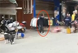 南宁理发店爆料事件视频