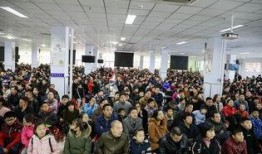 爆料实验中学事件视频,视频揭露惊人真相