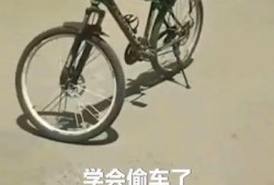 安阳自行车爆料事件最新,真相与反思
