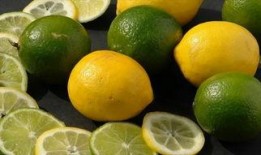 体热在线观看,揭秘人体温度的秘密之旅