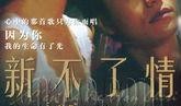 新不了情在线观看,重温经典爱情故事，感动依旧