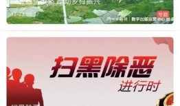 荆楚网今日爆料新闻视频