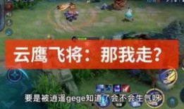 瓦罗兰特最新皮肤爆料视频,炫酷特效，神秘英雄即将登场！