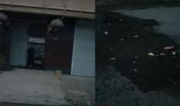 霸州四中爆料事件视频