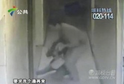 女子爆料邻居视频大全,揭秘网络隐私泄露的惊人真相