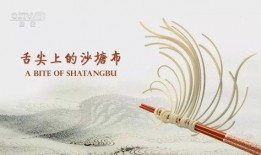 舌尖爆料来历介绍大全视频,美食背后的故事与传承