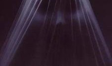 感在线观看染,探索数字时代下的感染艺术之旅