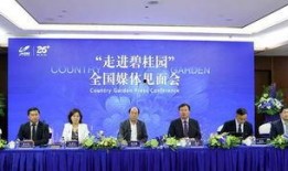 沧州碧桂园最新爆料新闻,揭秘项目最新进展与亮点