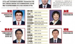 媒体爆料九人男团视频,精彩瞬间引粉丝热议