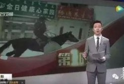 小马哥爆料视频大全最新,揭秘娱乐圈幕后真相