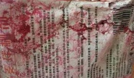 死二代高招爆料视频在线观看,独家爆料视频在线观看全解析
