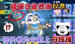 蔷薇白皇后爆料视频大全,视频大全揭秘幕后真相