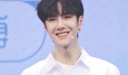 王一博和汪涵最新爆料,揭秘娱乐圈幕后故事