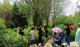 兰州植物园爆料案件最新,真相渐浮水面，疑云终将揭晓