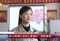 辽宁新闻爆料后续视频