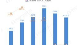 万达最新数据爆料,业绩增长背后的秘密与挑战