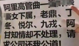 大厂女员工爆料新闻事件,引发社会关注与热议