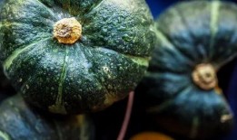 免费吃瓜真的假的,真相还是噱头？