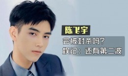 陈飞宇爆料者是谁呀视频,揭秘背后真相