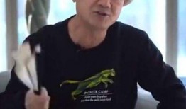 娱乐大佬爆料黄晓明,娱乐大佬揭秘背后真相