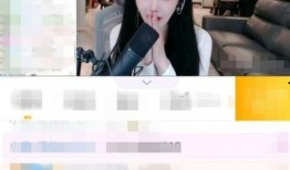 主播墨子爆料视频大全,揭秘幕后真相，带你领略直播界的风云变幻