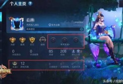 王者爆料神威视频大全最新,揭秘英雄技能与战术解析