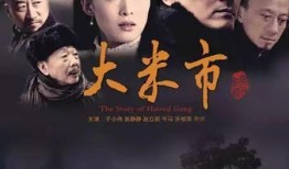 大米市全集在线观看,全景式展现中国大米产业的辉煌历程