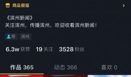 抖音官方爆料新闻吗,揭秘短视频平台背后的秘密与挑战