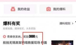 头条怎么爆料新闻,如何一手掌握热点动态