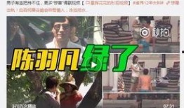 辛吉飞爆料海天的视频,揭秘食品添加剂真相