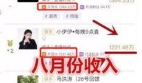 二八最新爆料消息视频播放,揭秘视频播放背后的惊人真相