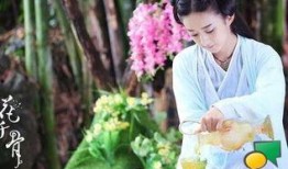 花千骨在线观看,穿越仙侠世界，共赴爱恨情仇之旅