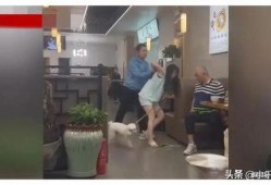 西安狗狗爆料事件最新情况,最新进展与各方回应梳理