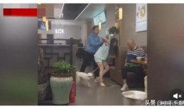 西安狗狗爆料事件最新情况,最新进展与各方回应梳理