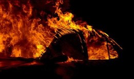 失火天堂在线观看,在线观看，揭秘火灾背后的惊悚真相