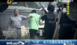 大鹰爆料大姐被抓视频,大鹰爆料引发社会关注