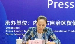 三只羊爆料新闻发布会,新闻发布会揭秘幕后故事与精彩瞬间