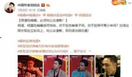 爆料娱乐圈女博主小说,揭秘幕后风云，揭开小说中的娱乐圈真相