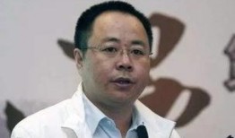 李峰最新爆料视频大全集,揭秘幕后真相，带你走进事件核心