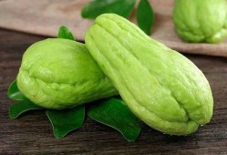 吃瓜刘网红,揭秘娱乐圈背后的那些事儿