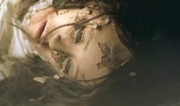 成人童话在线观看,在线观看奇幻之旅