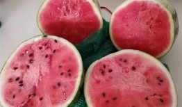 免费吃瓜真的假的,真相还是噱头？