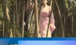 大慈树王爆料视频完整版,完整版内容深度解析