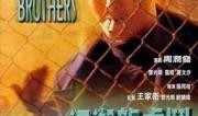 朱宝意骚动在线观看,情感波澜中的青春演绎