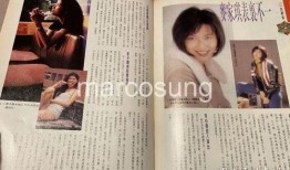 麦家琪手机在线观看,揭秘热门剧集背后的精彩故事