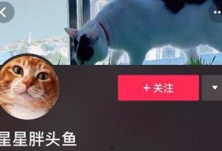 网红山猫被爆料视频,揭秘背后惊人真相