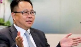 李峰最新爆料视频大全集,揭秘幕后真相，带你走进事件核心